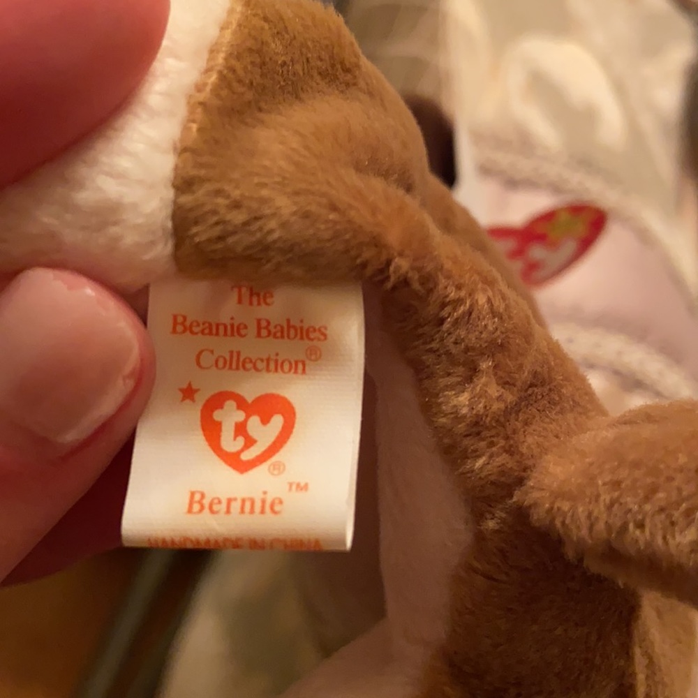 TY Beanie Baby - “Bernie” - Picture 4 of 5